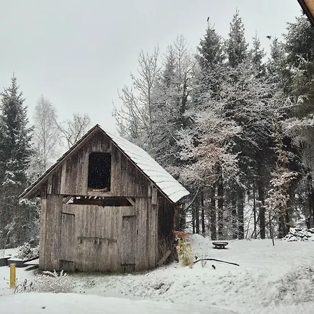 Haus Am Fels, Alpenaster هيرماجور