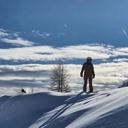 Haus Am Fels, Alpenaster ヘルマゴル