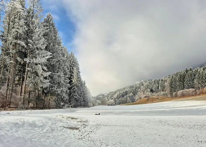 Haus Am Fels, Alpenaster Apartmán *